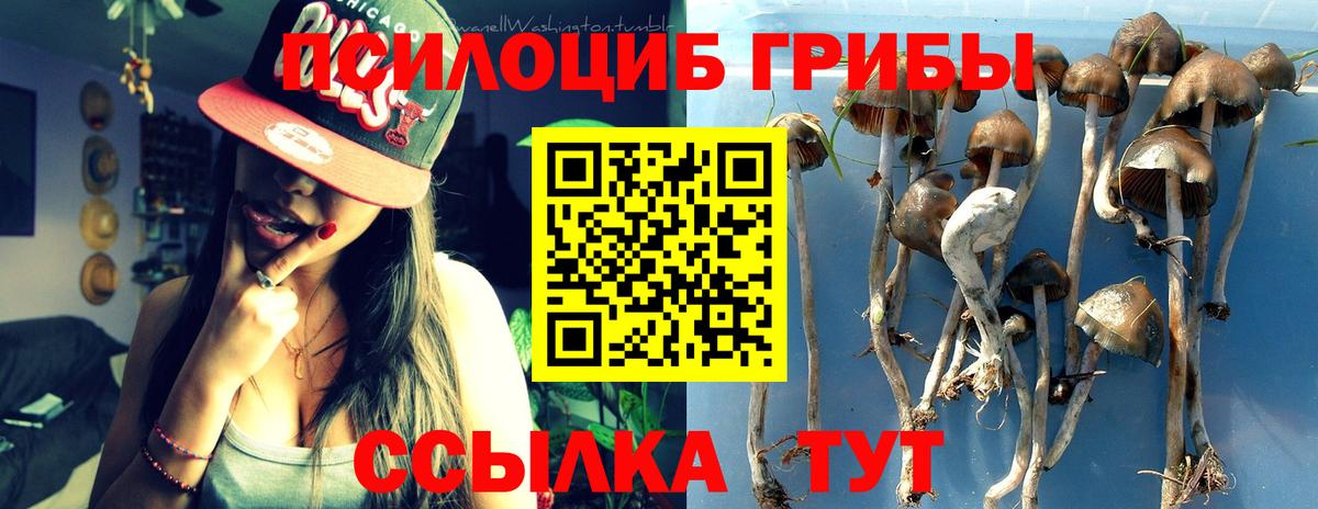 Галлюциногенные грибы прущие грибы Джанкой