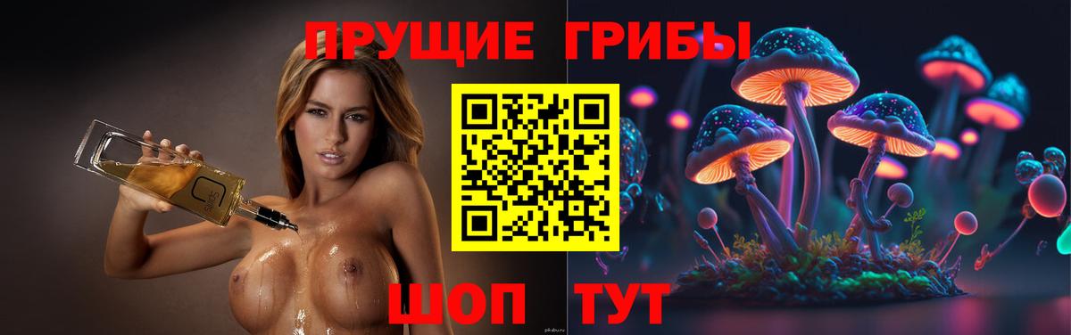 Галлюциногенные грибы прущие грибы  где купить наркоту  Джанкой  Вход с VPN 